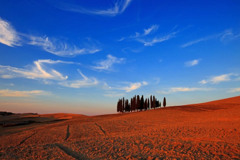 cretesenesi15