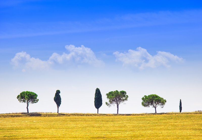 tuscanlandscape1_7