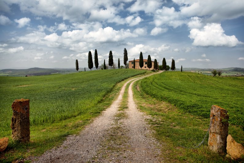 tuscanlandscape9_8
