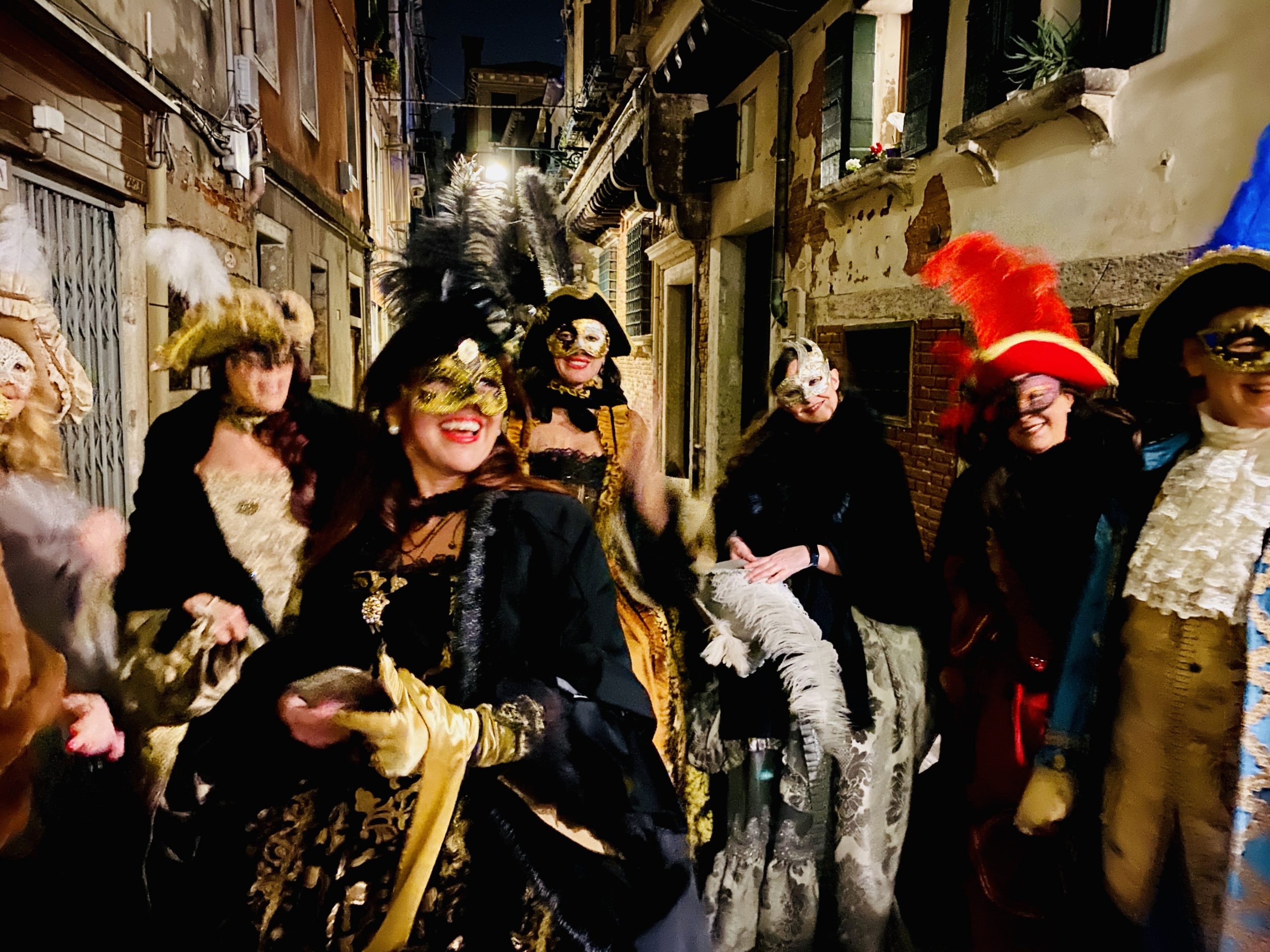 Carnival Party in Venice